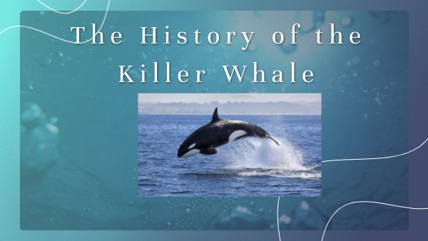 The History of the Killer Whale | Genially