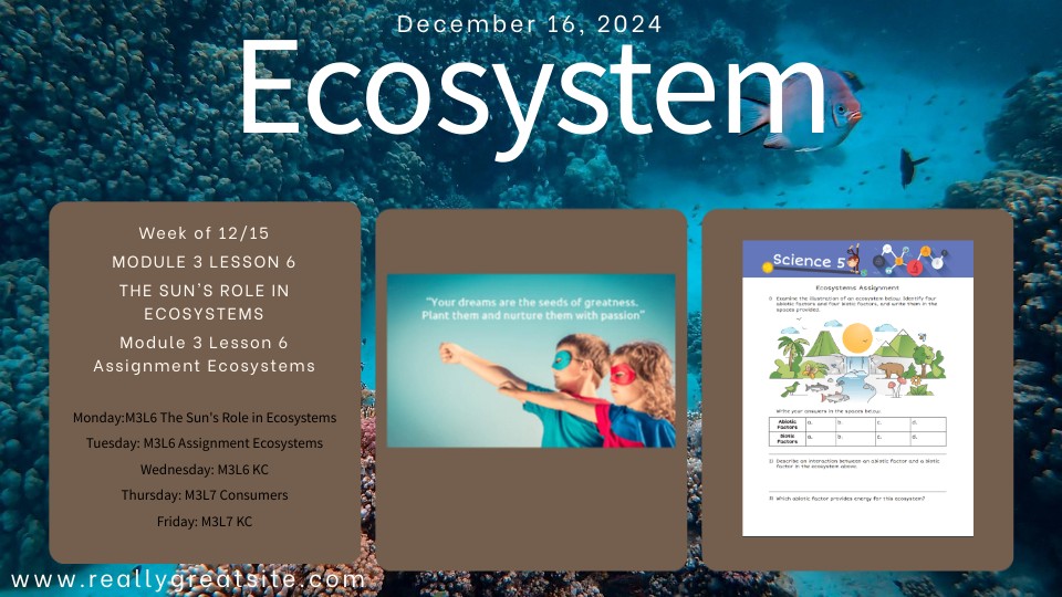 Ecosystem Dienno Week of December 15 | Genially