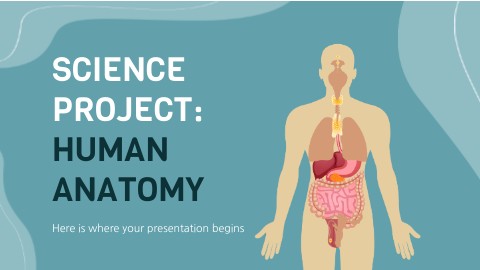 Science Project_ Human Anatomy by Slidesgo.pptx | Genially