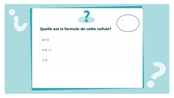 FLASHCARDS QUIZZ CH1 | Genially