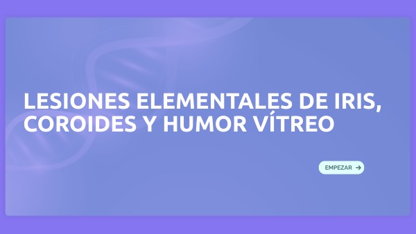 Lesiones elementales de iris, coroides y humor vítreo | Genially