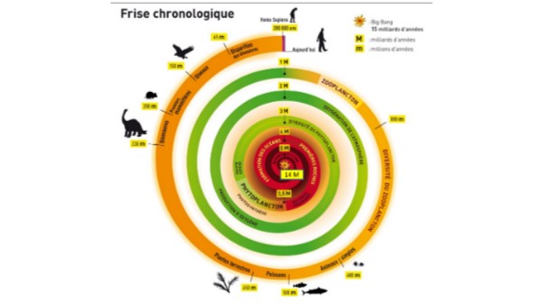 Frise apparition de la vie | Genially