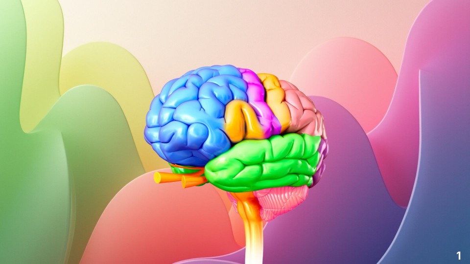 BG1114_ Learning Styles and Tongue Twisters | Genially
