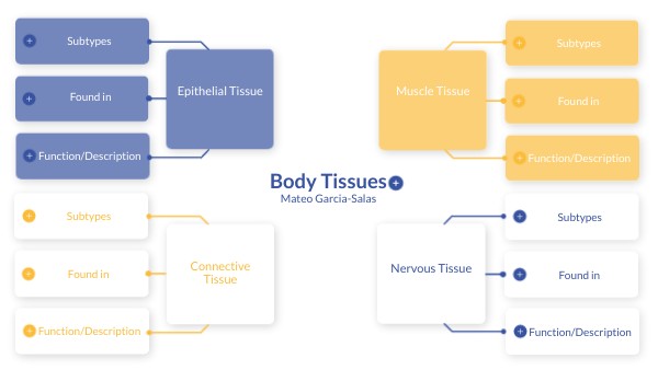 Body Tissues | Genially