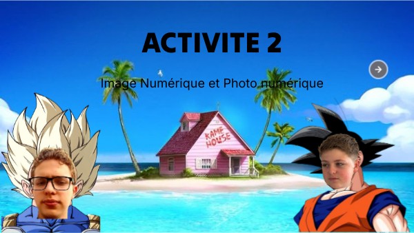ACTIVITE 2 | Genially