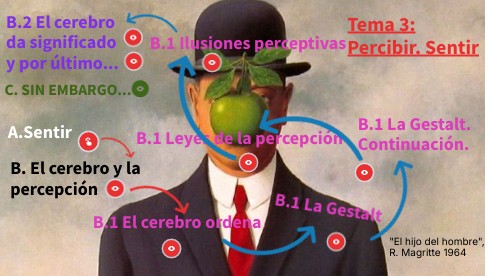 Tema 3: La percepción | Genially