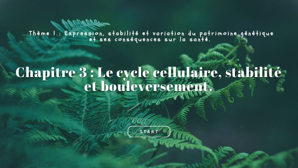 Chapitre 3 - Activité introduction | Genially