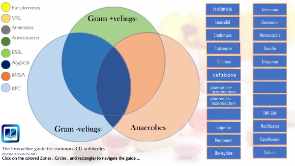 Gram +vebugs | Genially