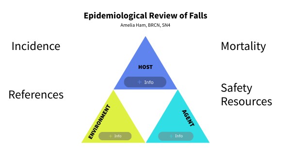 Epidemiological Review of Falls | Genially
