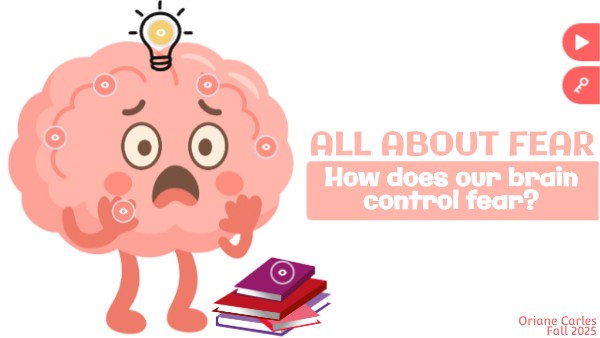 How does our brain control fear? | Genially