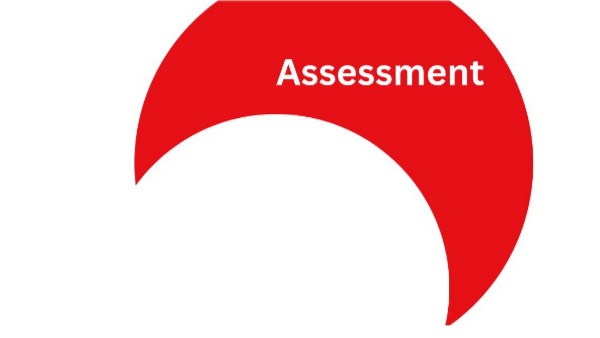 Module 2 SPF Assessment Process | Genially