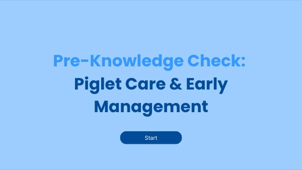 Pre-Knowledge Check: Piglet Care & Early Management | Genially