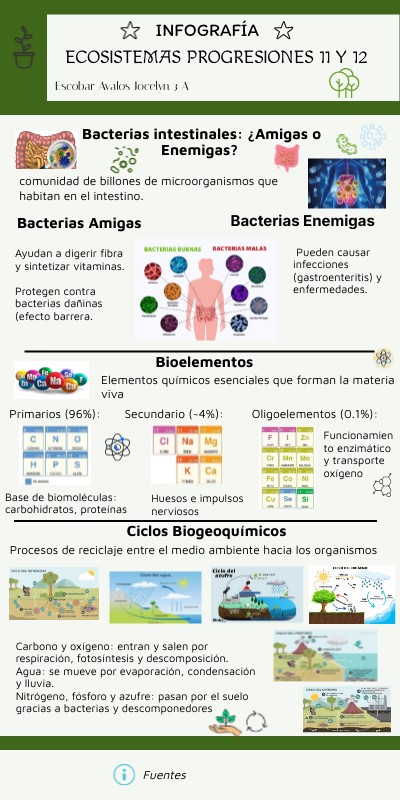 ECOSISTEMAS PROGRESIONES 11 Y 12 | Genially