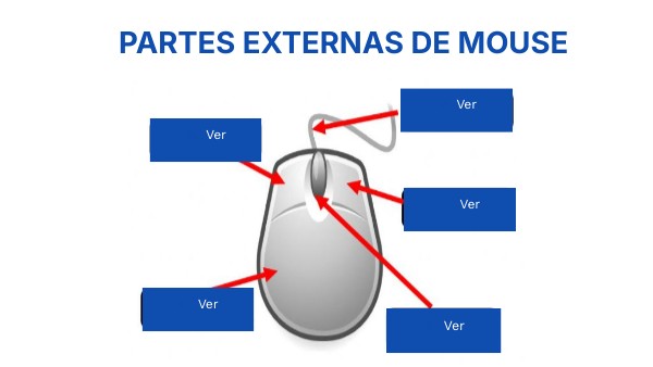 PARTES EXTERNAS DE MOUSE | Genially