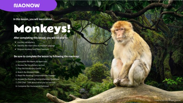 L1 Monkeys | Genially