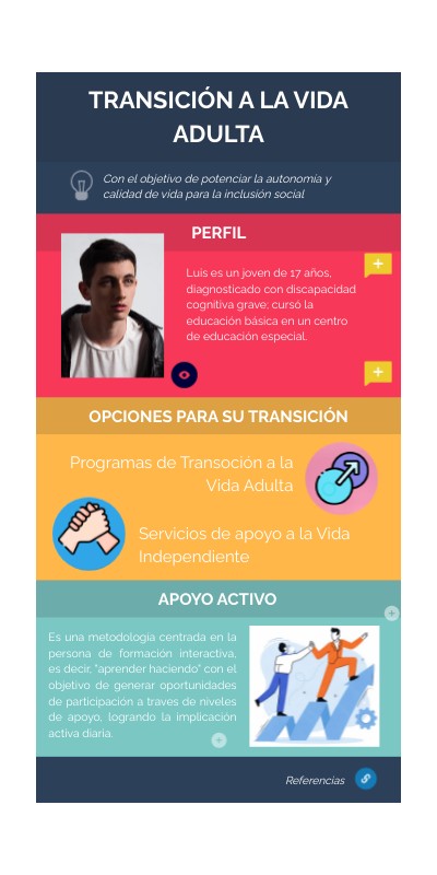 TRANSICIÓN A LA VIDA ADULTA DE LAS PERSONAS CON DISCAPACIDAD COGNITIVA ...