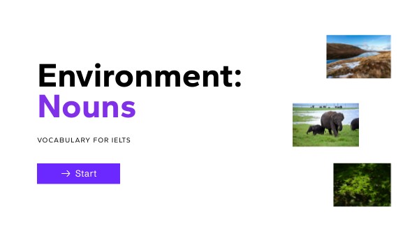 Environment: Nouns | Genially