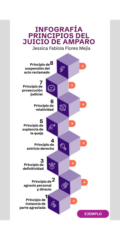 INFOGRAFÍA Principios del juicio de amparo | Genially