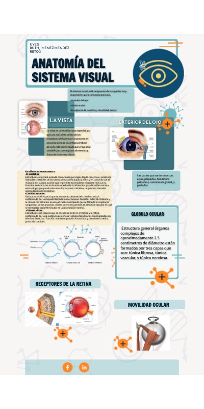 ANATOMÍA DEL SISTEMA VISUAL | Genially