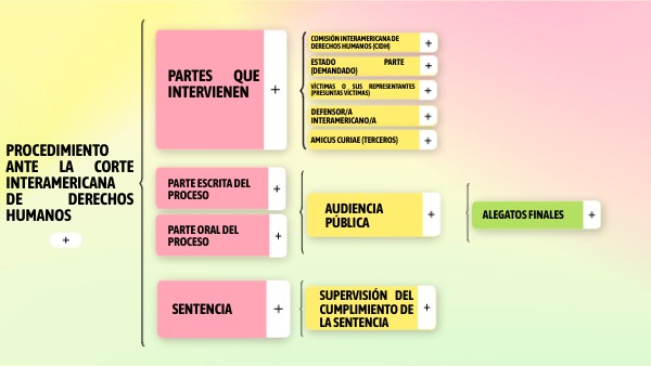 Procedimiento ante la Corte Interamericana de Derechos Humanos | Genially