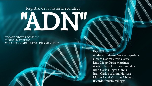 "ADN" | Genially