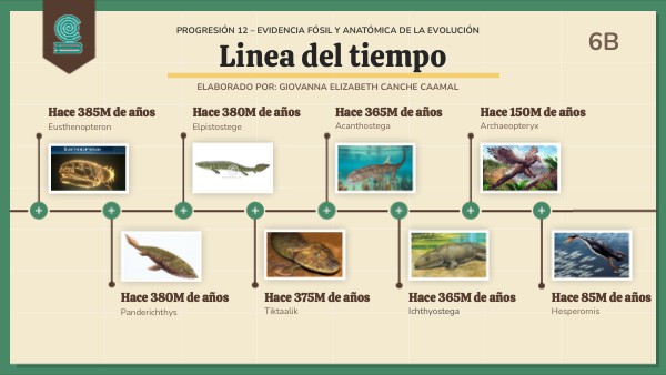 Progresión 12 – Evidencia Fósil y Anatómica de la Evolución | Genially