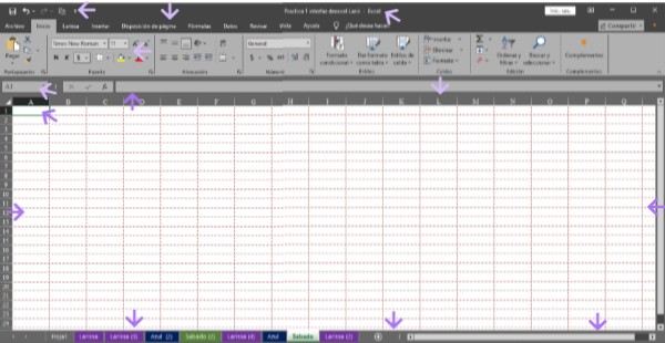 Interfaz de excel Larissa | Genially